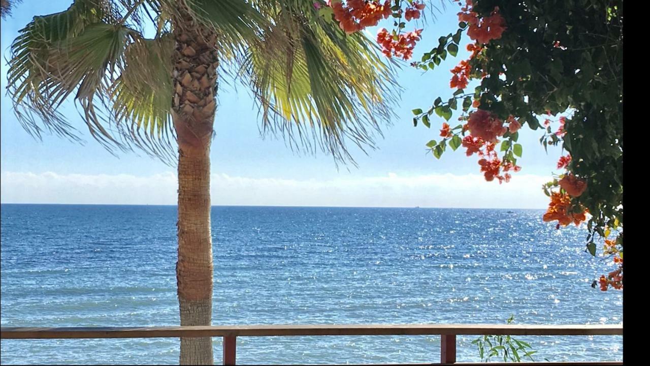 Mi Capricho 170 Beachfront Apartment Sitio de Calahonda Zewnętrze zdjęcie